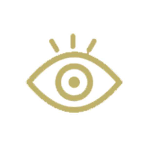 vision